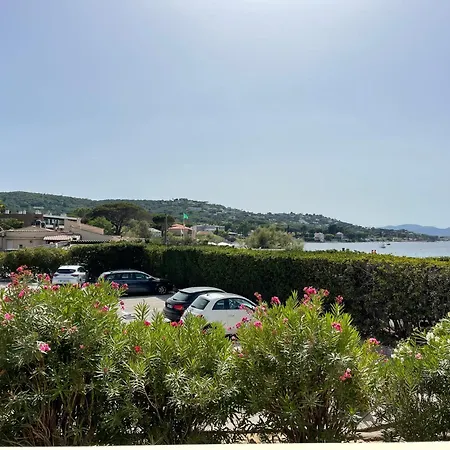Bouillabaisse Saint-Tropez